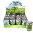 Souvenir Grow Your Own Luck 4 Leaf Clover Tin