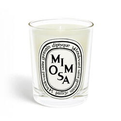 Diptyque Mimosa Candle 190g