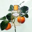 Prada Infusion de Mandarine Eau de Parfum 100ml