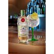 Tanqueray Rangpur Gin  1L