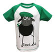 Traditional Craft Kids White/Emerald Green Sheep Ireland Raglan Kids T-Shirt 3-4 Years