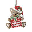 Newbridge Babys First Christmas Teddy Bear Decoration