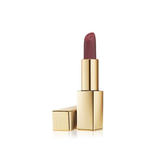 Estee Lauder Pure Color Matte Lipstick 690 Don’t Stop