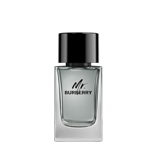 Burberry Mr. Burberry Eau de Toilette 100ml