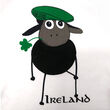 Traditional Craft Kids White/Emerald Green Sheep Ireland Raglan Kids T-Shirt 5-6 Years