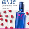 Skyy Skyy Infusions Citrus Vodka 1L