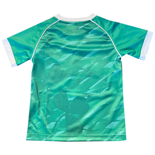 Lansdowne Kids Ireland Kids Performance T-shirt in Green 11-12 Years