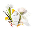 Creed Love in White 75ml