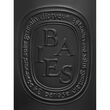 Diptyque Giant Baies Candle 1.5kg