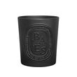 Diptyque Baies Candle 600g