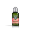 L'Occitane en Provence Aromachology Repair Shampoo 75ml