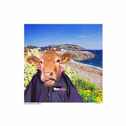 Kelly Hood Beef on the Beach Mounted Print 