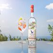 Grey Goose Grey Goose Essences Strawberry and Lemongrass 1L